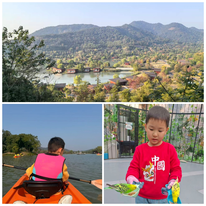 1763543419216167.png 1763543419216167.png